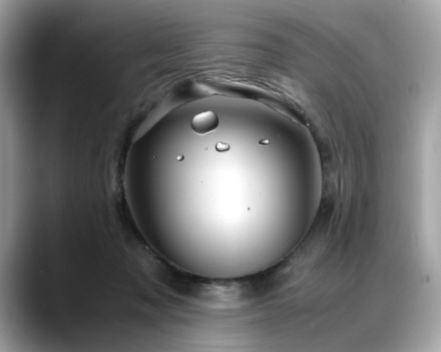 X0000088740317200705311452