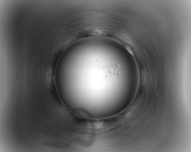 X0000088740318200705311452