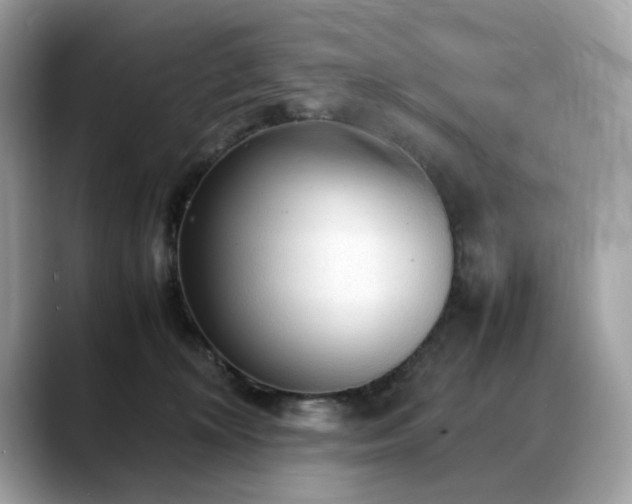 X0000088740324200705311452