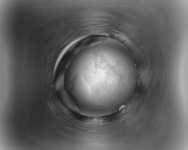 X0000088740329200705311452