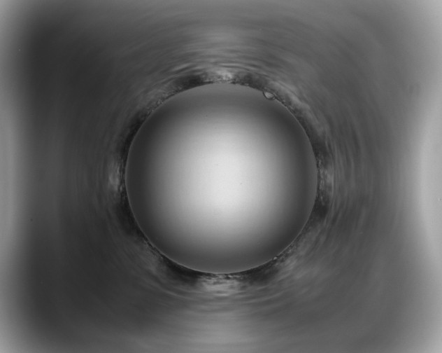 X0000088740331200705311452