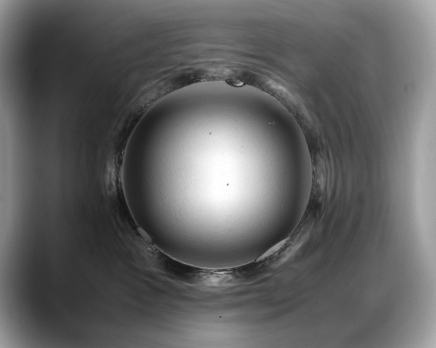 X0000088740333200705311452