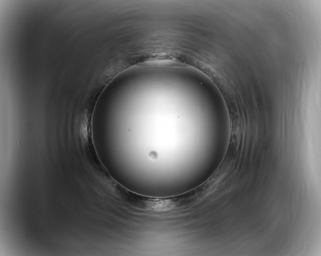 X0000088740334200705311452