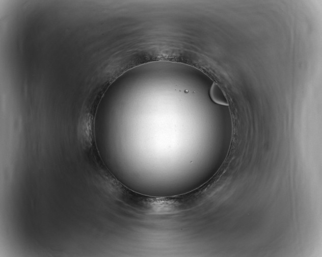 X0000088740336200705311452
