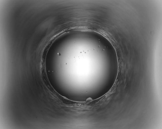 X0000088740338200705311451