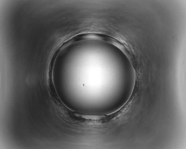 X0000088740340200705311451