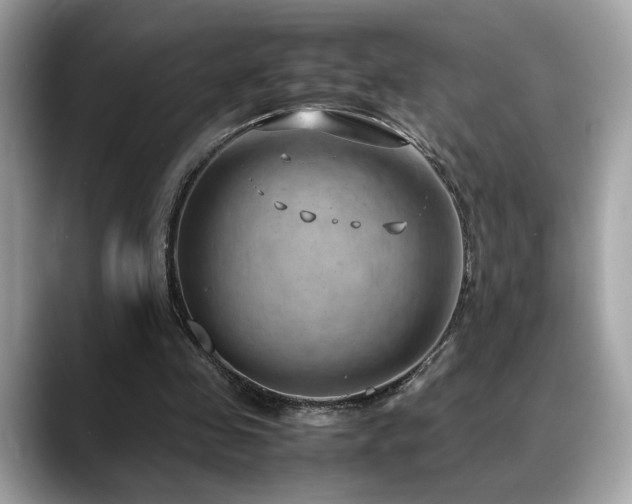 X0000088740341200705311451