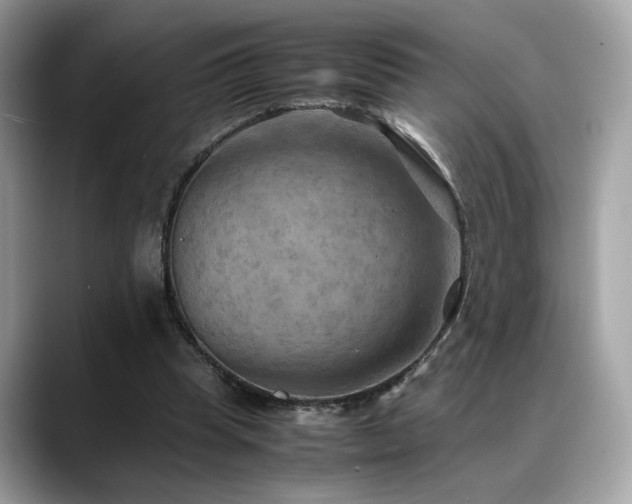 X0000088740345200705311451