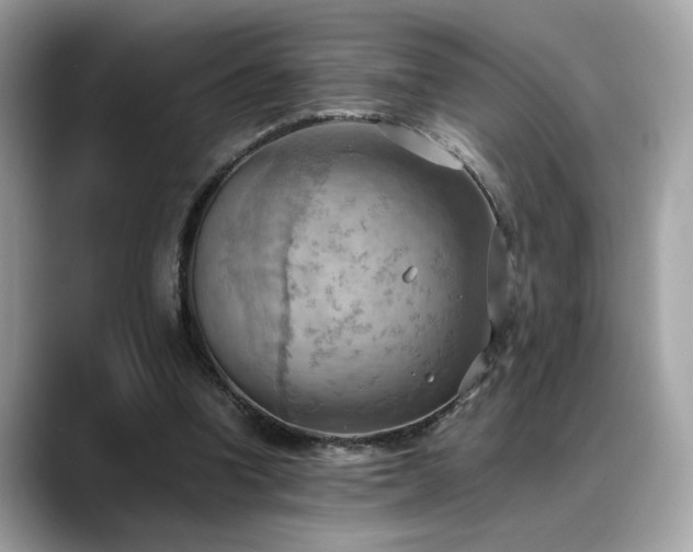 X0000088740346200705311451