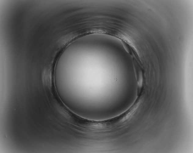 X0000088740349200705311451