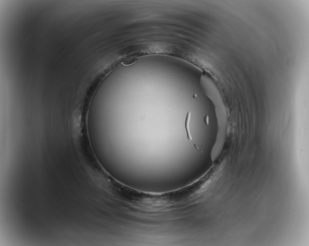 X0000088740351200705311451