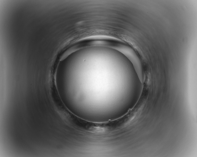 X0000088740352200705311451