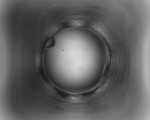 X0000088740359200705311451