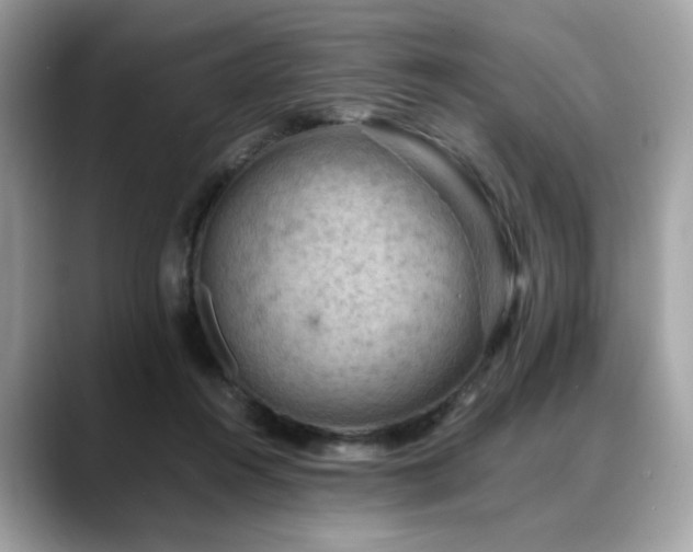 X0000088740360200705311451