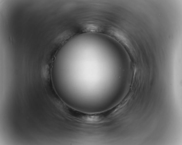 X0000088740361200705311451