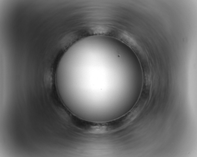 X0000088740362200705311451