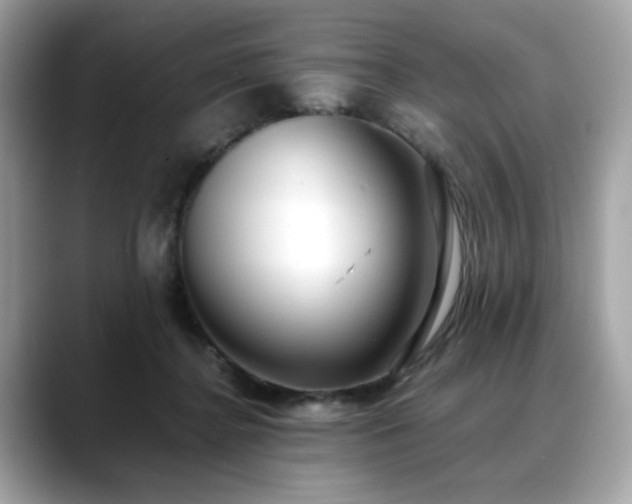 X0000088740364200705311451
