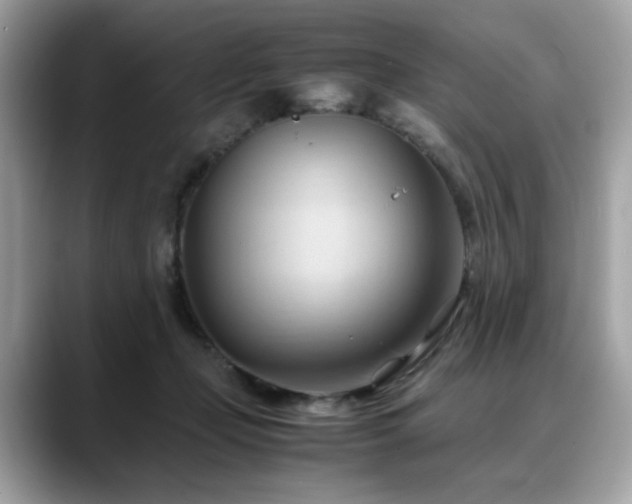 X0000088740365200705311451
