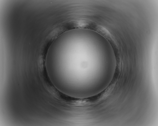 X0000088740366200705311451