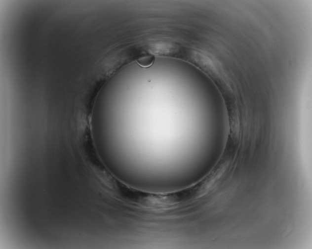 X0000088740367200705311451