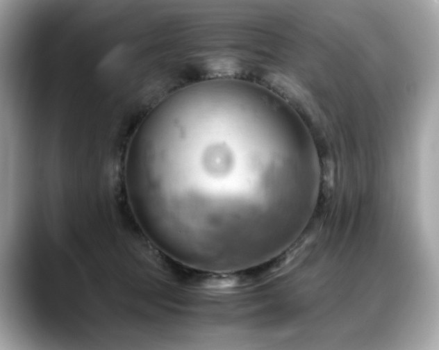 X0000088740369200705311451