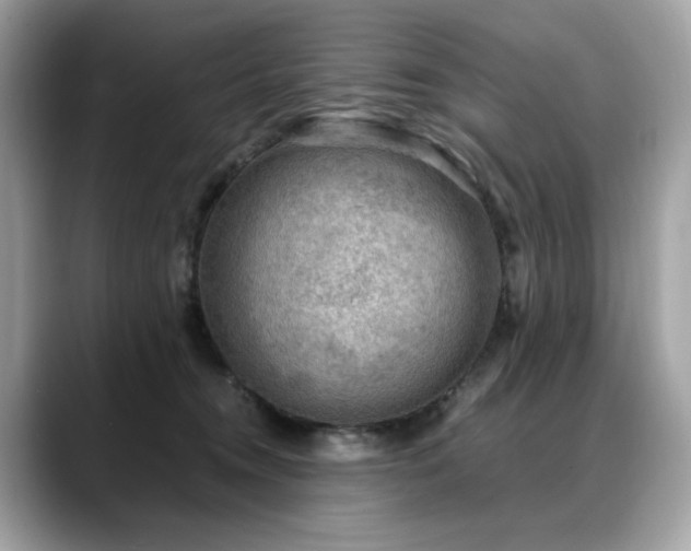 X0000088740372200705311451