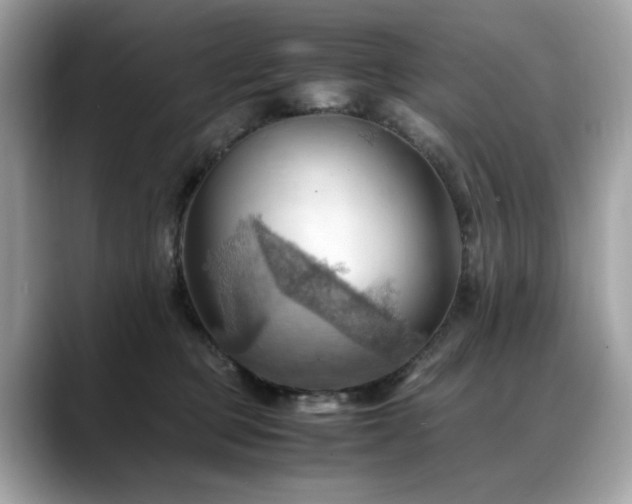 X0000088740373200705311451