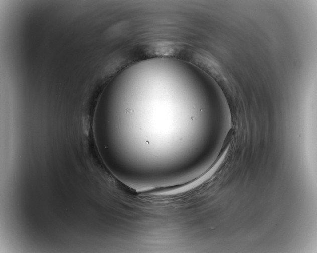 X0000088740374200705311451