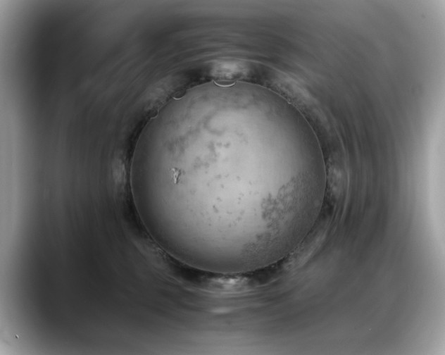 X0000088740375200705311451
