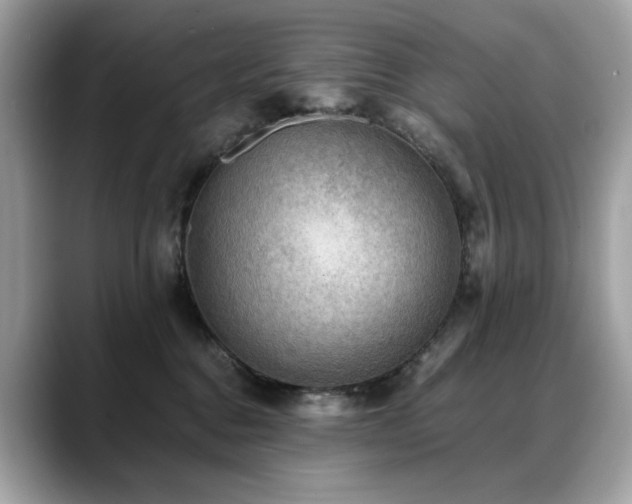 X0000088740376200705311451
