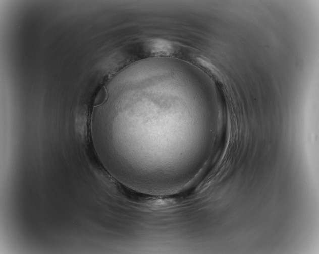 X0000088740379200705311452