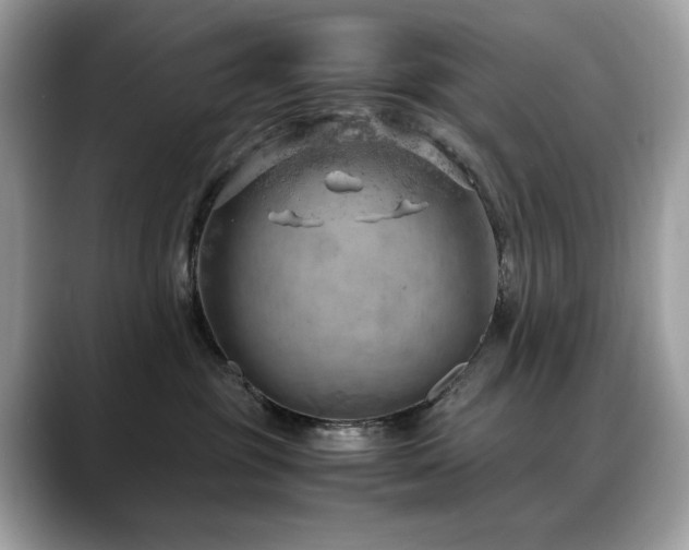 X0000088740381200705311452