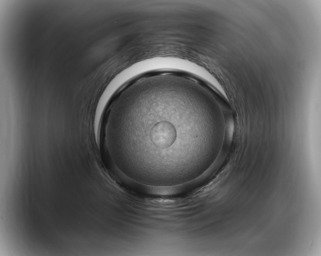 X0000088740383200705311452