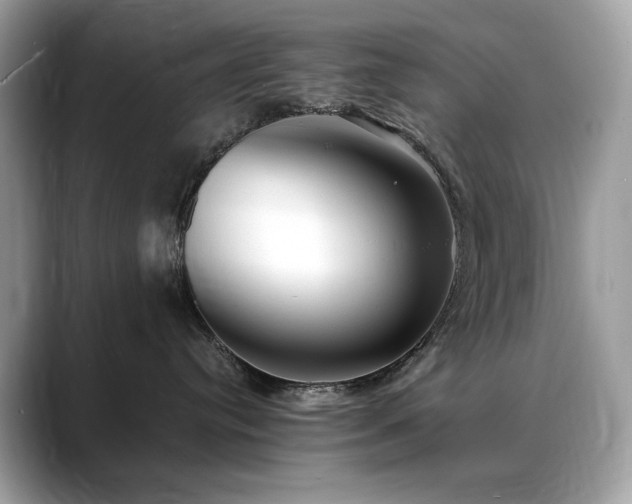 X0000088740384200705311452