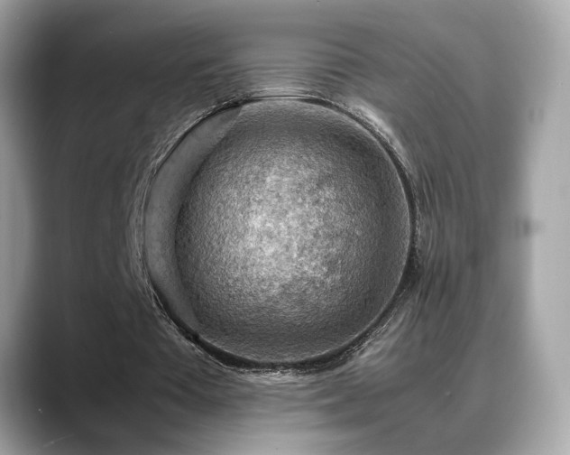 X0000088740385200705311451