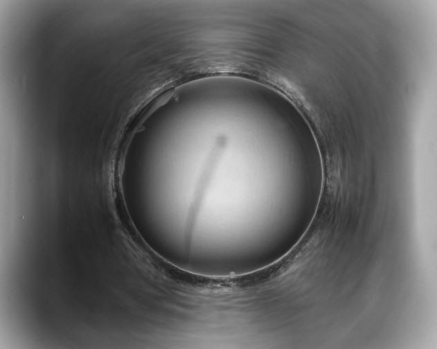 X0000088740386200705311451