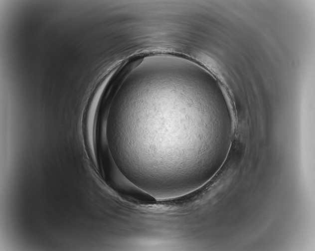 X0000088740389200705311451
