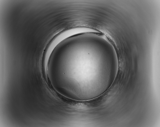 X0000088740390200705311451