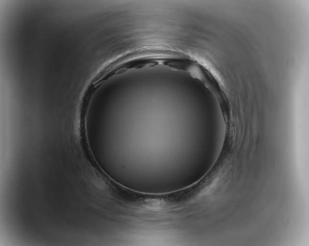 X0000088740391200705311451
