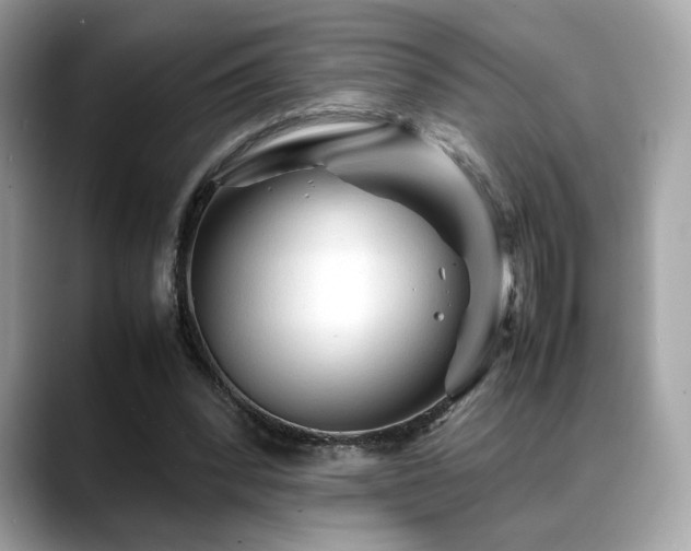 X0000088740392200705311451