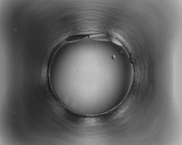 X0000088740394200705311451