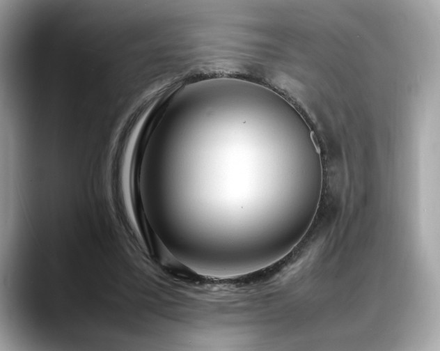 X0000088740395200705311451