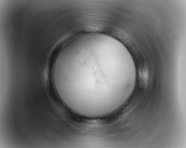 X0000088740396200705311451