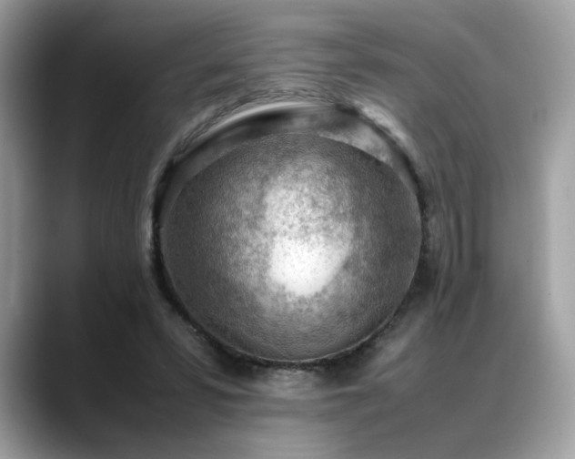 X0000088740399200705311451