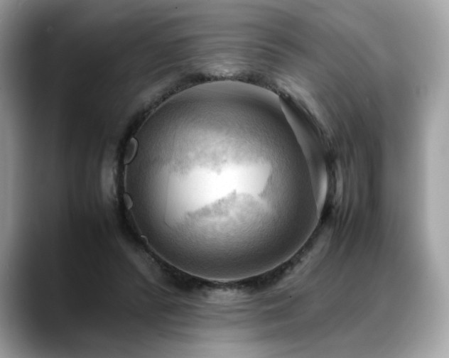X0000088740400200705311451