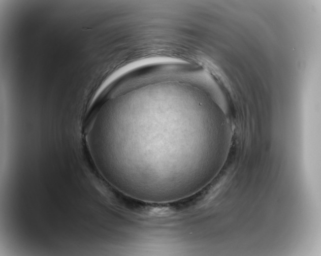 X0000088740401200705311451