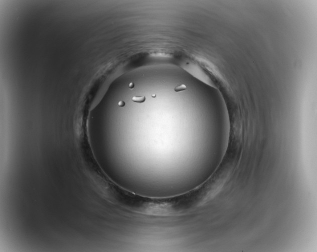 X0000088740403200705311451
