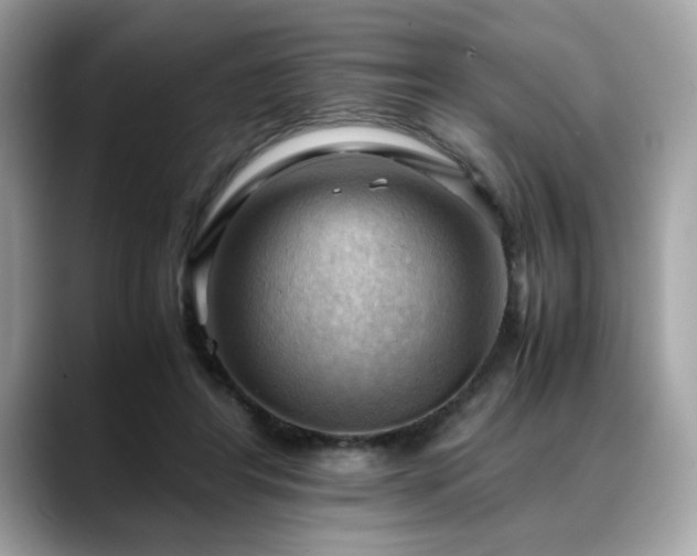 X0000088740404200705311451