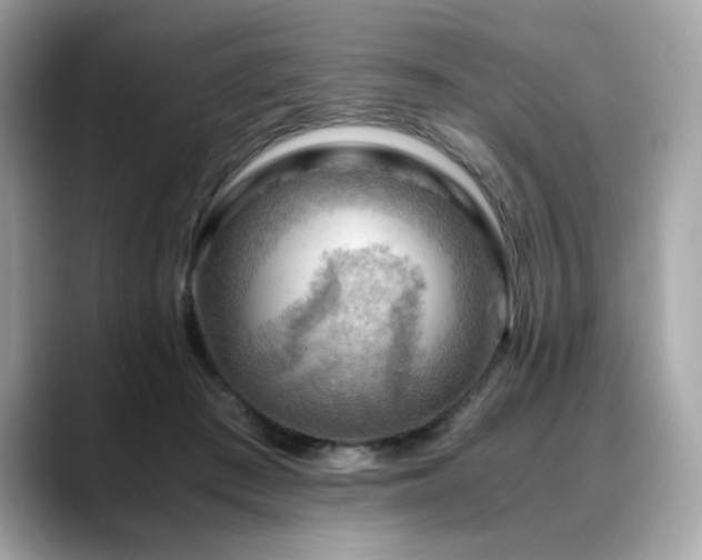 X0000088740409200705311451