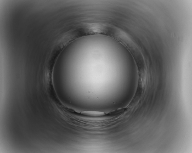 X0000088740410200705311451